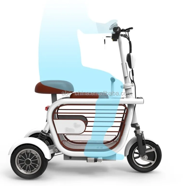 electric bike pet carrier