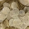 2018 best natural craft raw capiz shell for wind chimes in factory low price