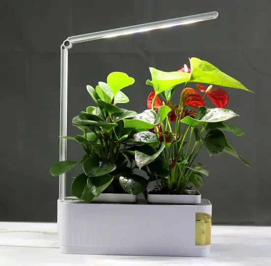 Full Spectrum Growing Lights For Plants Indoor Desk Lamp Type Plant Grow Light Length Adjustable LED Grow Light