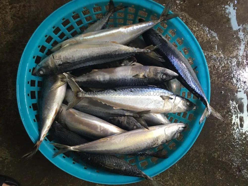 Fresh Catch Mackerel In Pouch Buy Fresh Catch Mackerel In Pouch,Fresh