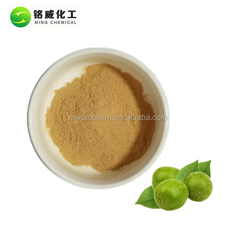High Quality Pure Monk Fruit Sweetener Lo Han Kuo Extract 20% Mogroside V Powder.jpg