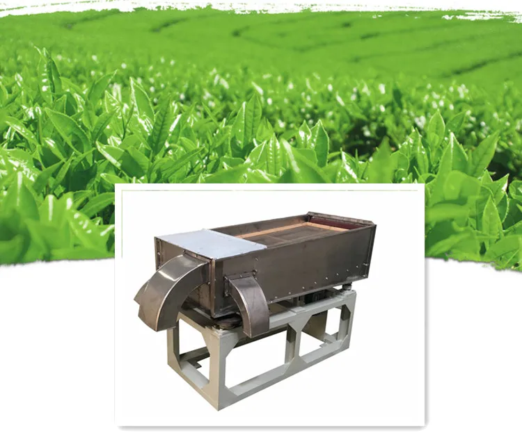 Automatic Green Tea Processing Machine Buy Tea Sorting Machine,Tea