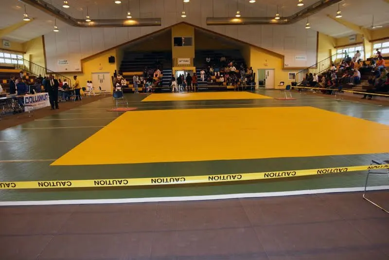 Hot Sale Dollamur Flexi Roll Tatami Jiujitsu Mats / Mma Judo Mat Buy