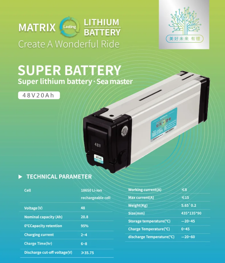 Electric Motor Battery Packed By 3.7v 18650 Cells 48v 20ah Testing
