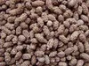 Cocoa nut snack peanuts peanut cocoa beans raw coffee bean curd