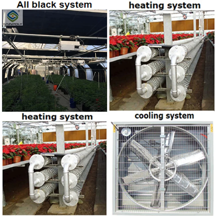 Plastic Design For Tropical Climate Film Greenhouse Buy Greenhouse Film,Plastic Film