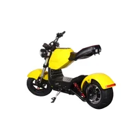 

Powerful High Speed Lithium Battery Citycoco 2000W Electric Scooter Motorcycle