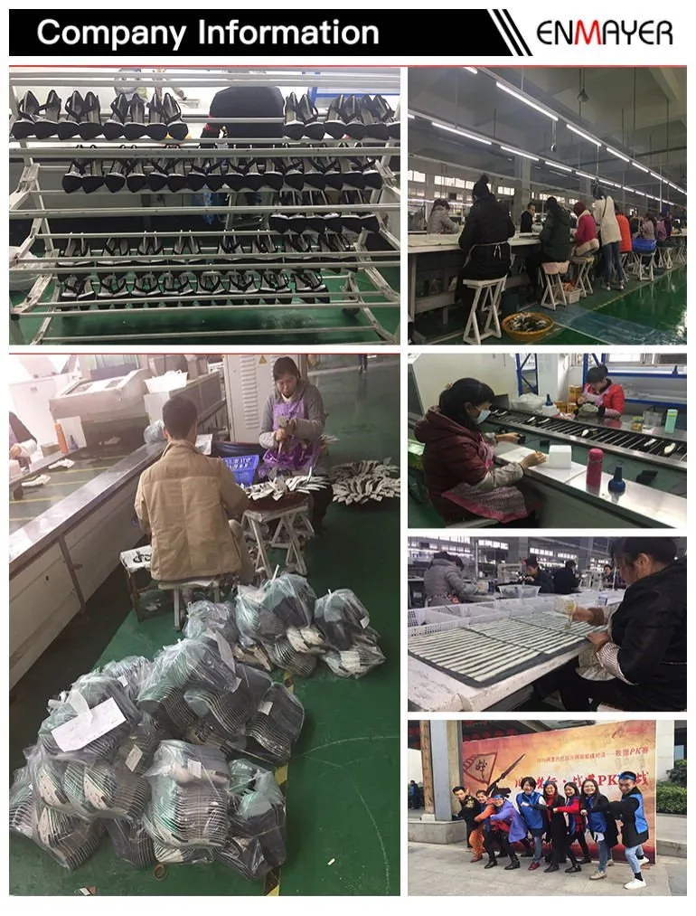 company information 2(1)_.jpg