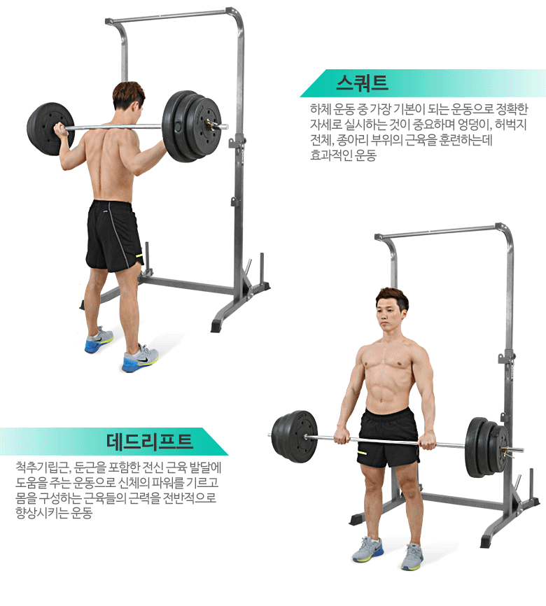 Weight Lifting Squat Rack Fitness Equipment Squat Dip Rack Crossfit
