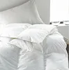 /product-detail/hotel-high-quality-china-factory-price-duck-down-quilt-60810831970.html