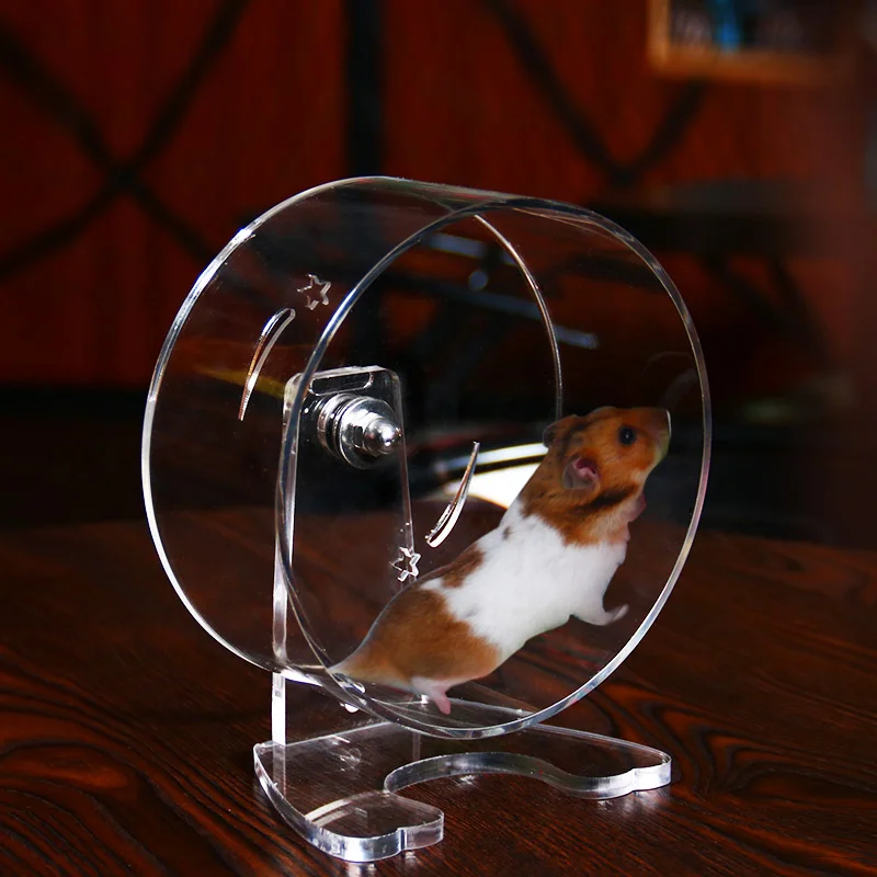 

Plexiglass Transparent Extra Large Silent Hamster Wheel