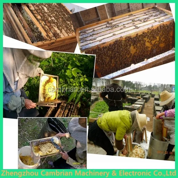 honey extractor