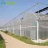 Tropical wet wall greenhouse for hot weather area