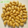 Salted Roasted Peanuts, Blanched Peanut Snacks