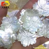 Big sale large quantity elegant flower sea shell in lowest price