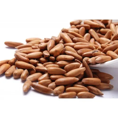 hot sale raw pakistan pine nut kernels for snake