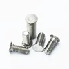 stainless steel cold pier passivated riveting screw
