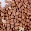big size round shape china edible peanut kernels