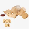 BIX-F50 Medical science obstetric model