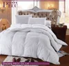 Wholesale Feather Duvet Quilted China Comforter Export Quilt
