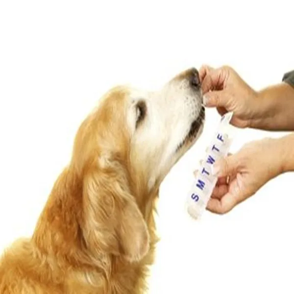Ivermectin For Dogs Raw Material Injection Tablet - Buy ...