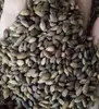 China hotsale Masson's pine, Chinese red pine seeds for planting