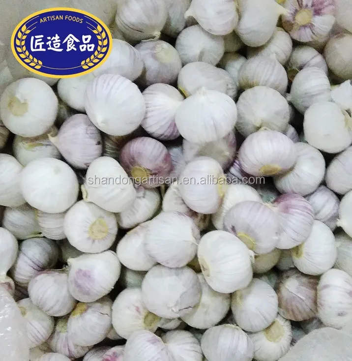 One Clove Garlic,Best Sell Solo Garlic Buy One Clove Per Head Garlic