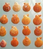 DIY natural seashell color style charm shell accessories for jewelry finding
