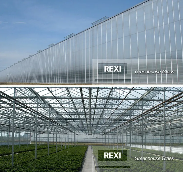 3.2mm 4mm Clear Tempered Greenhouse Glass Ce,Igcc&as/nzs Certified