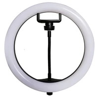 

10inch LED Selfie Ring Light with Cell Phone Holder Stand for Make Up , selfie light of 3 modes