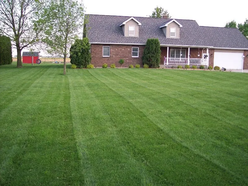 JiangSu Manufacturer cheap artificial grass carpet for kindergarten