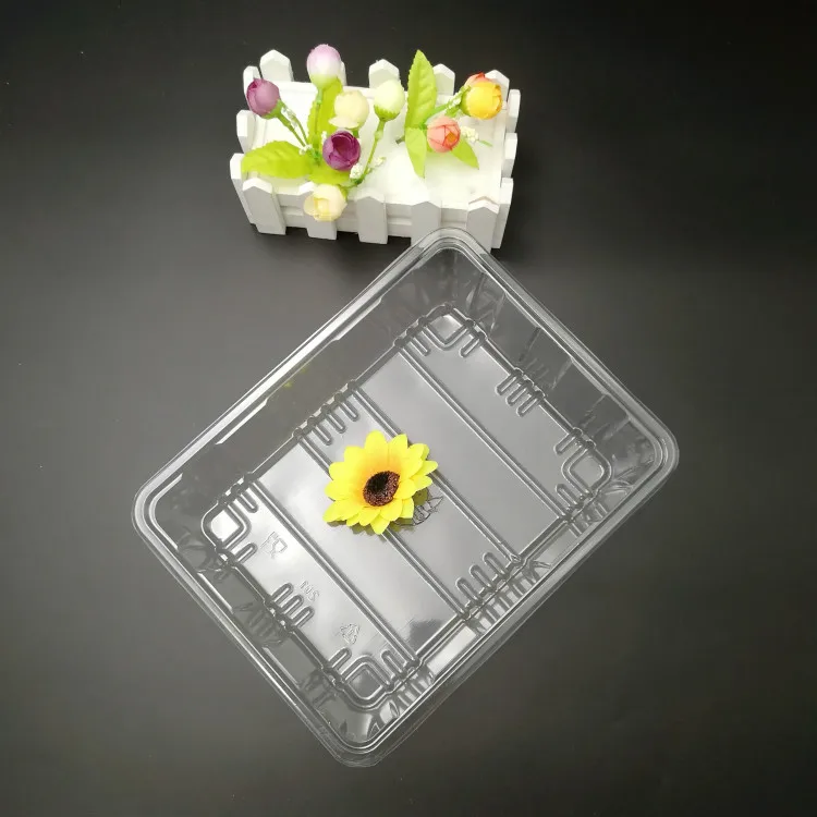 Fresh Vegetable Blister Packaging Clear Disposable Plastic Container Plastic Plates & Bowls