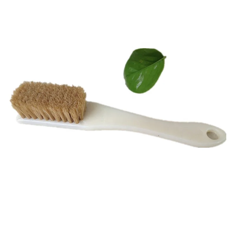 hard bristle cleaning brush