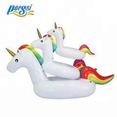 Inflatable Pool Float.jpg