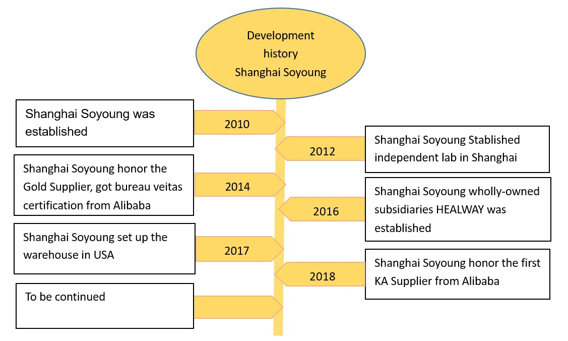 Development history.png