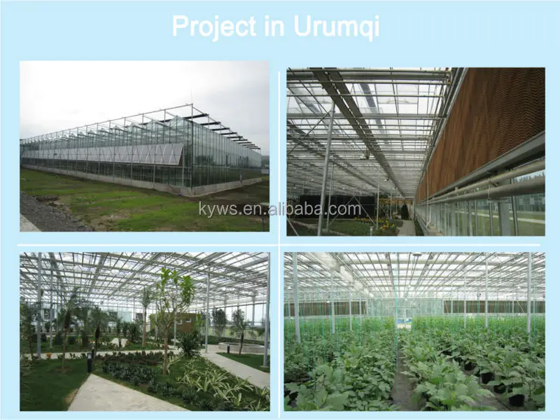 project in Urumqi