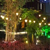 Outdoor ip65 waterproof landscape decorative fiber optic solar led garden light