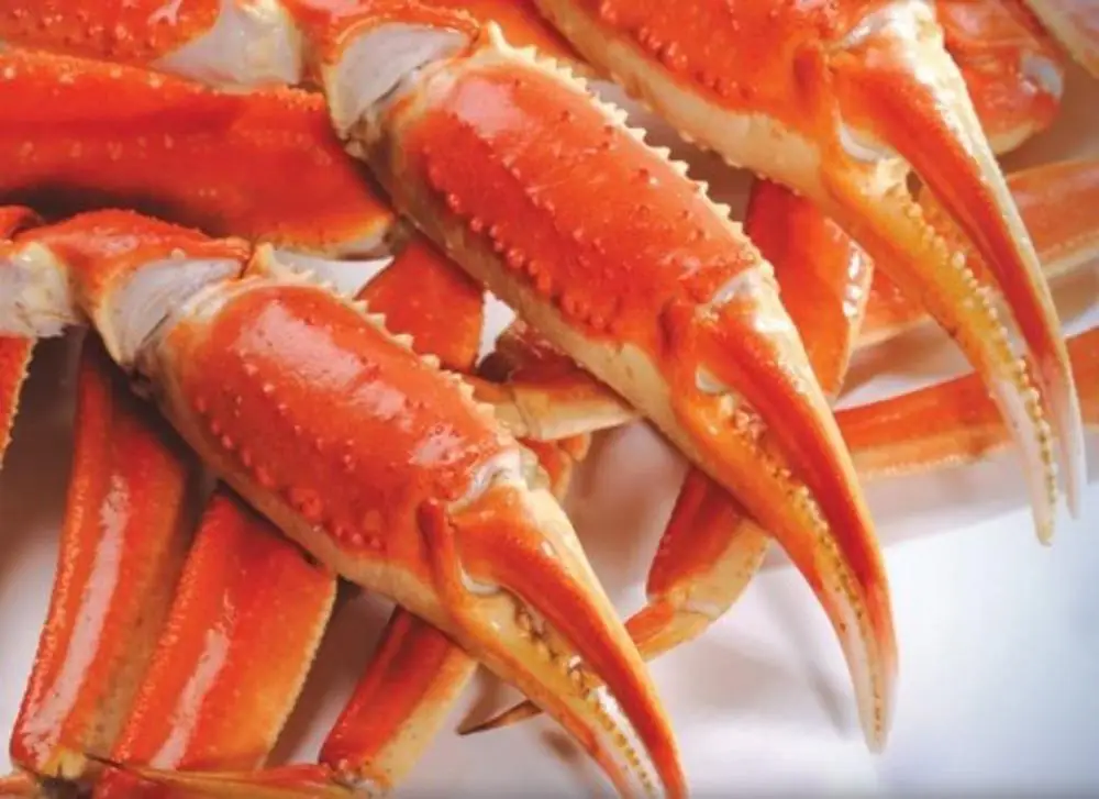 
Snow Crab 