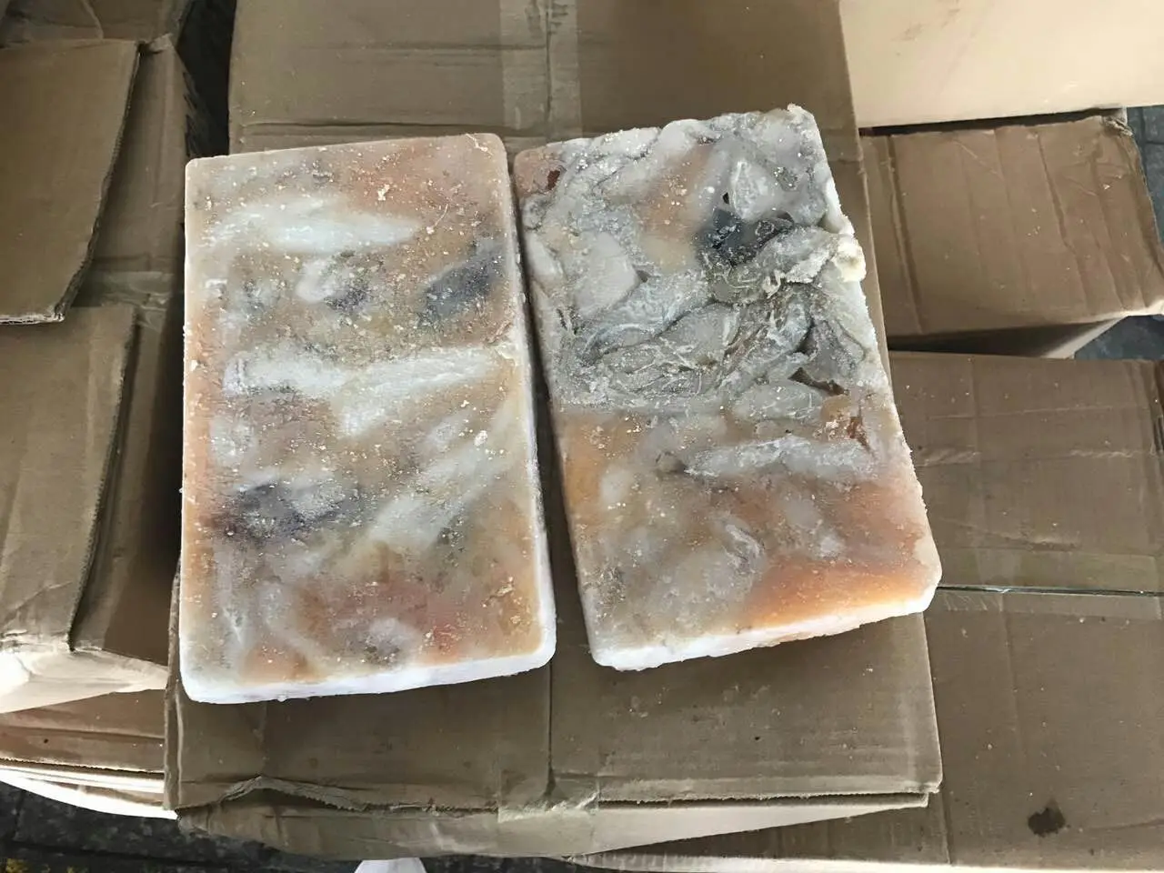 giant squid roe (2).jpg