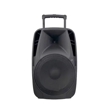 portable pa system with rechargeable battery