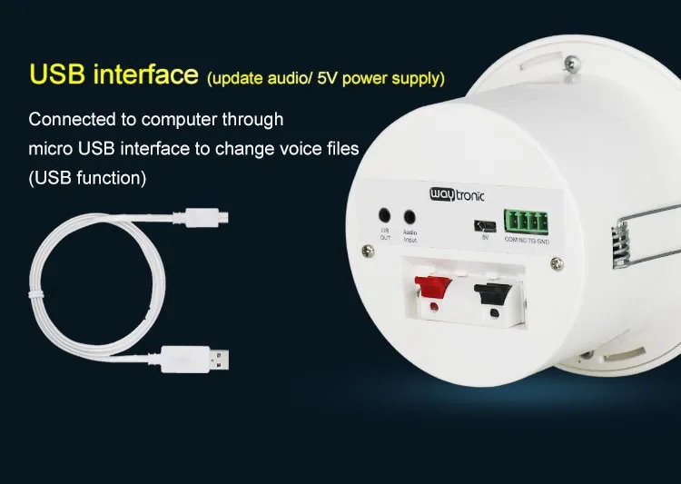 ceiling speaker (2).jpg