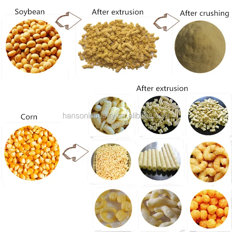 soybean extruder .jpg