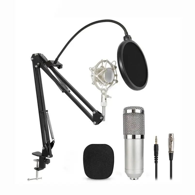 

Wholesale Bm800 Professional Studio Condenser Microphone, Black/silver/custom