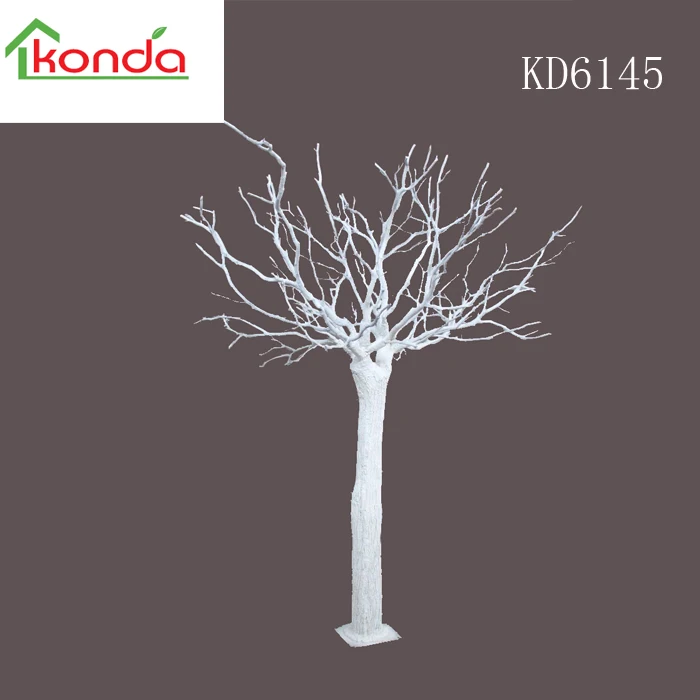 dry tree (17).jpg