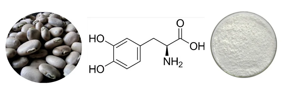 Asthma  Copd Medications Allergic Rhinitis