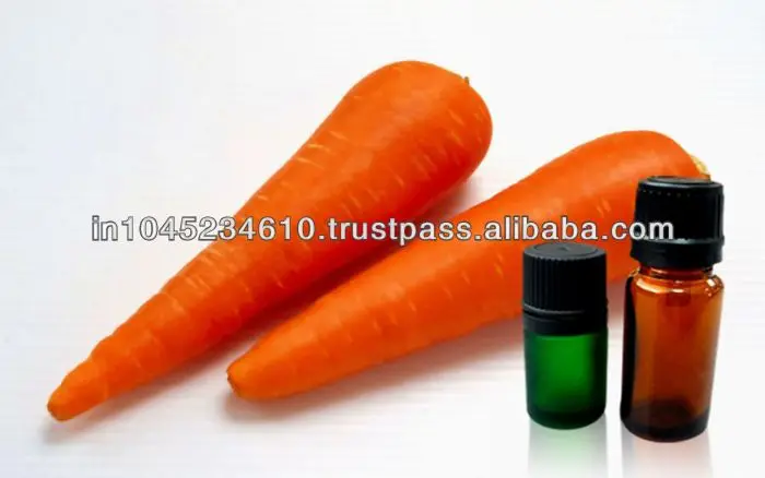 Carrot Seed Oil 2.jpg