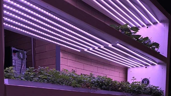 grow light led strip greenhouse