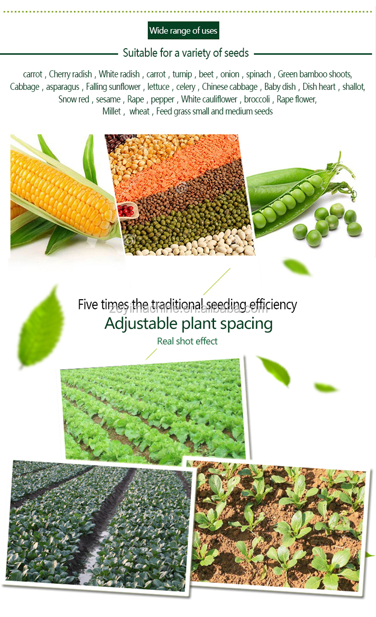 Vegetable Farming Equipment 5 Row Small Automatic Seeder Gasoline