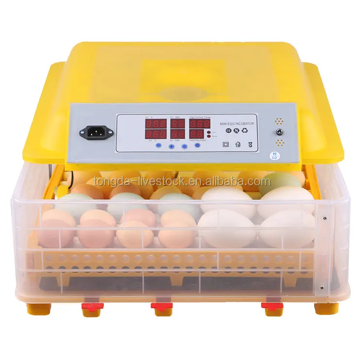 Factory Direct Sale B Type Egg Trays Of 60 Eggs Mini Egg ...