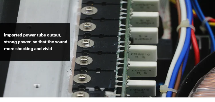 AMPLIFICADOR DE POTENCIA EST&Eacute;REO profesional LAIKESI AUDIO para sistema de sonido amplificador potente